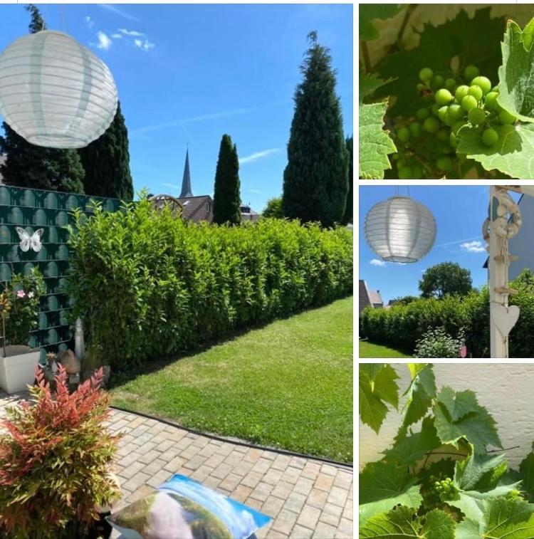 Apartment Glesch Bergheim  Buitenkant foto